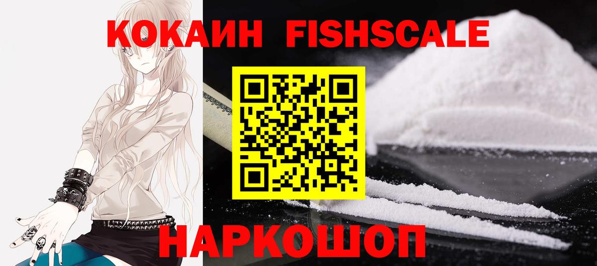где продают   Вход с VPN  Губкин  Cocaine 99%  COCAIN Эквадор 