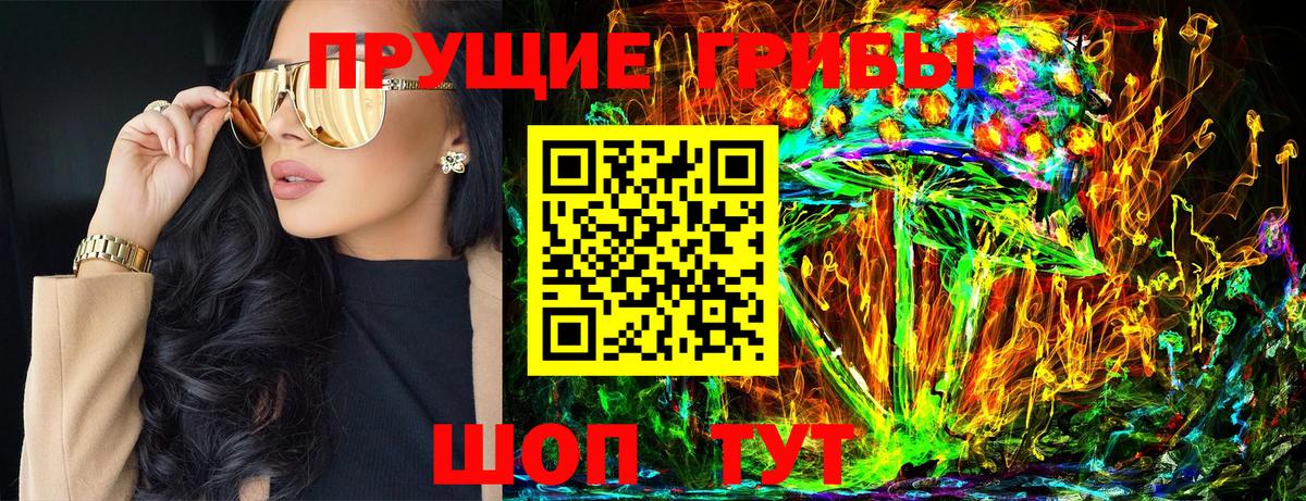 Губкин  Галлюциногенные грибы прущие грибы  Вход с VPN 