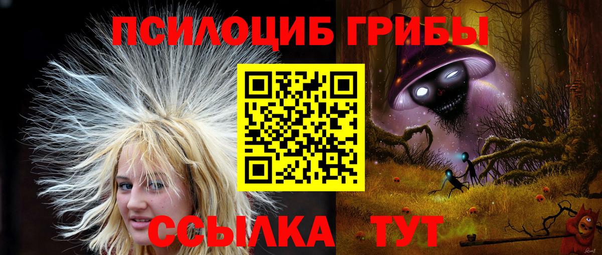 Галлюциногенные грибы мухоморы Губкин